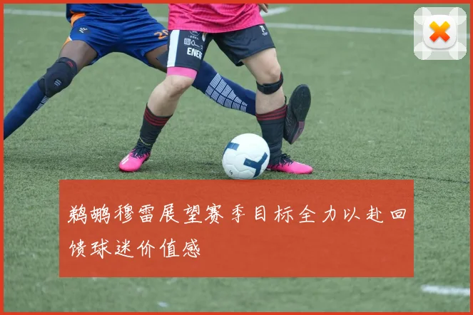 鹈鹕穆雷展望赛季目标全力以赴回馈球迷价值感