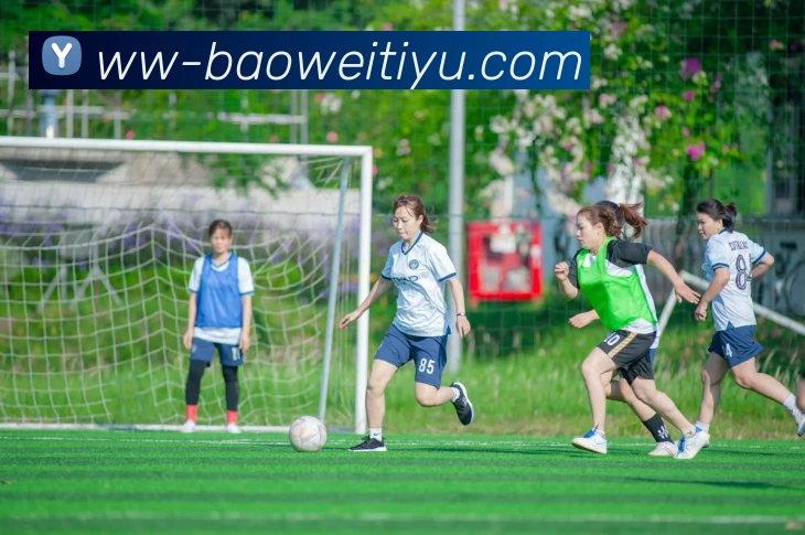 多媒体互动体验